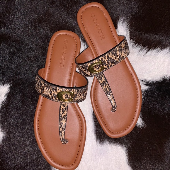 COACH THONG SANDALS - Picture 1 of 4